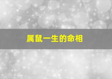 属鼠一生的命相