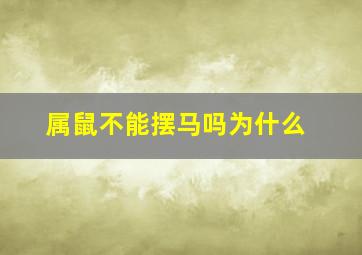 属鼠不能摆马吗为什么