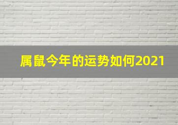 属鼠今年的运势如何2021