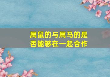 属鼠的与属马的是否能够在一起合作