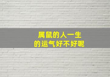 属鼠的人一生的运气好不好呢