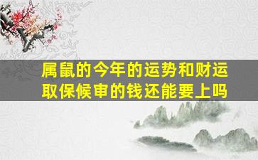 属鼠的今年的运势和财运取保候审的钱还能要上吗