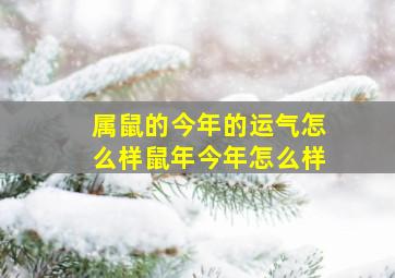 属鼠的今年的运气怎么样鼠年今年怎么样