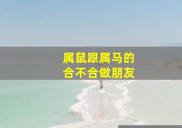 属鼠跟属马的合不合做朋友