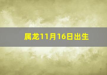 属龙11月16日出生