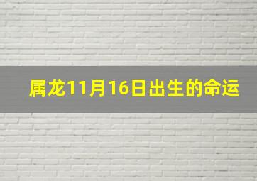 属龙11月16日出生的命运