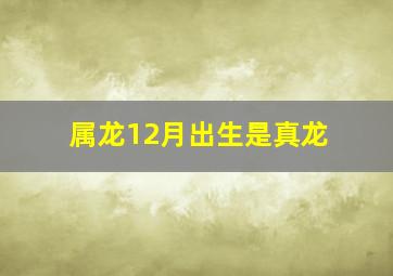 属龙12月出生是真龙