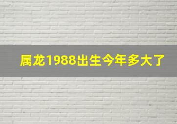 属龙1988出生今年多大了