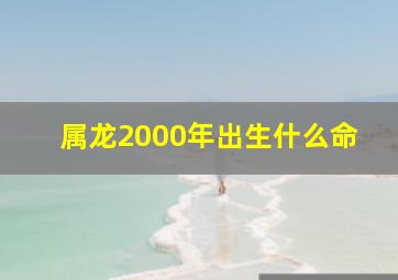 属龙2000年出生什么命