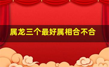 属龙三个最好属相合不合