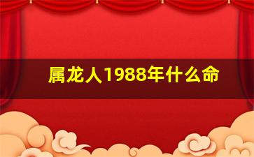 属龙人1988年什么命