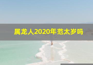 属龙人2020年范太岁吗