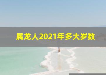 属龙人2021年多大岁数