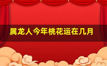 属龙人今年桃花运在几月