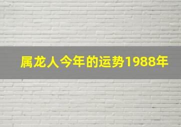 属龙人今年的运势1988年