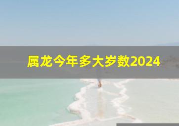 属龙今年多大岁数2024