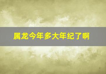 属龙今年多大年纪了啊