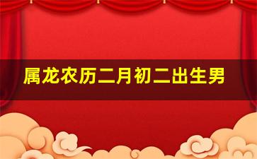 属龙农历二月初二出生男