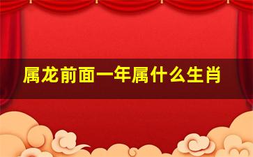 属龙前面一年属什么生肖