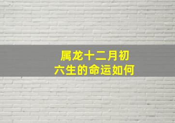 属龙十二月初六生的命运如何