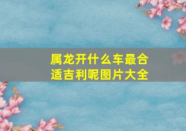 属龙开什么车最合适吉利呢图片大全