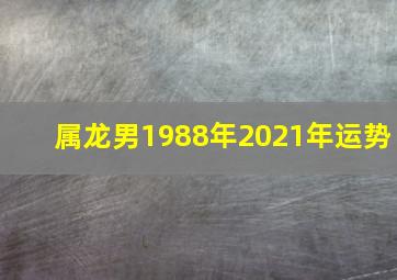 属龙男1988年2021年运势