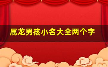 属龙男孩小名大全两个字