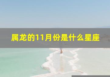 属龙的11月份是什么星座