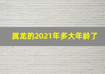 属龙的2021年多大年龄了