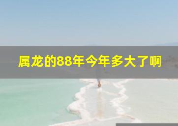 属龙的88年今年多大了啊