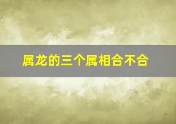 属龙的三个属相合不合