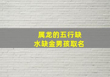 属龙的五行缺水缺金男孩取名