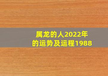 属龙的人2022年的运势及运程1988