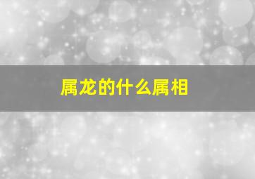 属龙的什么属相