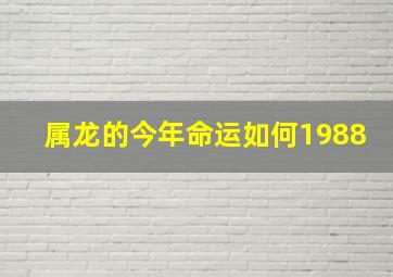 属龙的今年命运如何1988