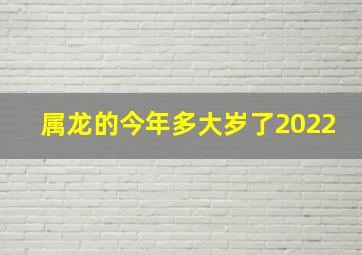 属龙的今年多大岁了2022