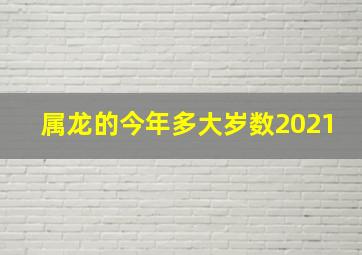 属龙的今年多大岁数2021