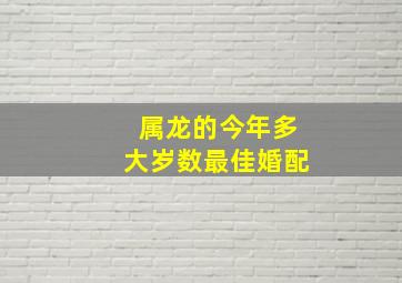 属龙的今年多大岁数最佳婚配