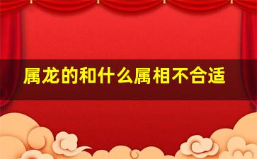 属龙的和什么属相不合适