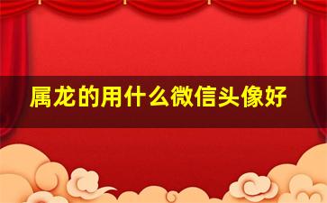 属龙的用什么微信头像好