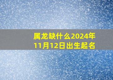 属龙缺什么2024年11月12日出生起名