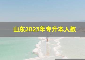 山东2023年专升本人数