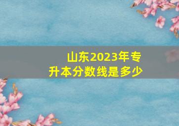 山东2023年专升本分数线是多少