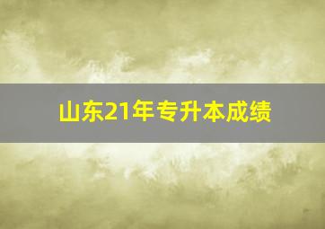 山东21年专升本成绩