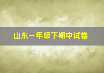 山东一年级下期中试卷