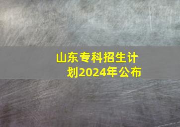 山东专科招生计划2024年公布