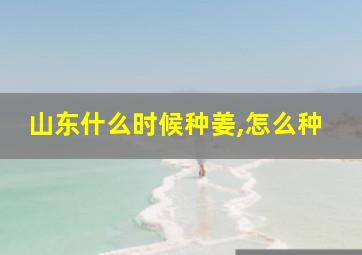 山东什么时候种姜,怎么种