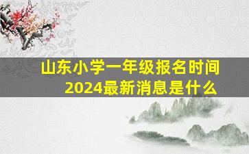 山东小学一年级报名时间2024最新消息是什么