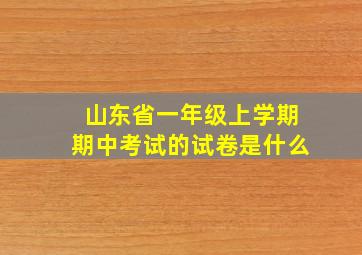 山东省一年级上学期期中考试的试卷是什么