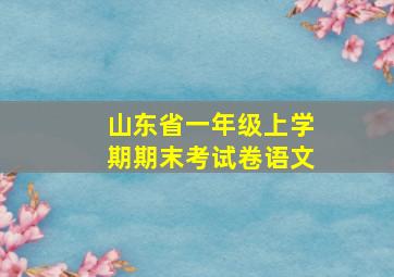 山东省一年级上学期期末考试卷语文